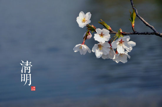 人民网：清明扫墓时，需用心感受清明背后的文化韵味