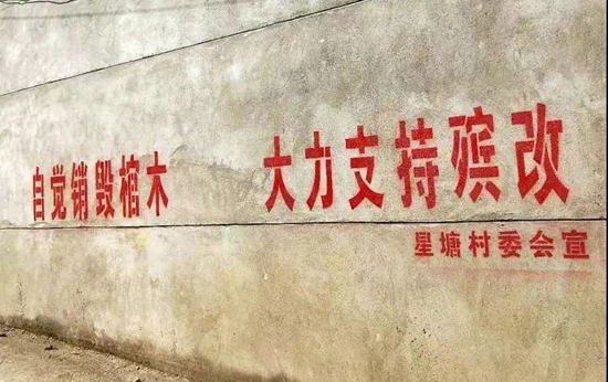 上海墓地：严禁封建迷信，江西组织“风水先生”进行殡改培训。