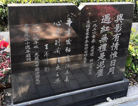 与影有情惟日月
